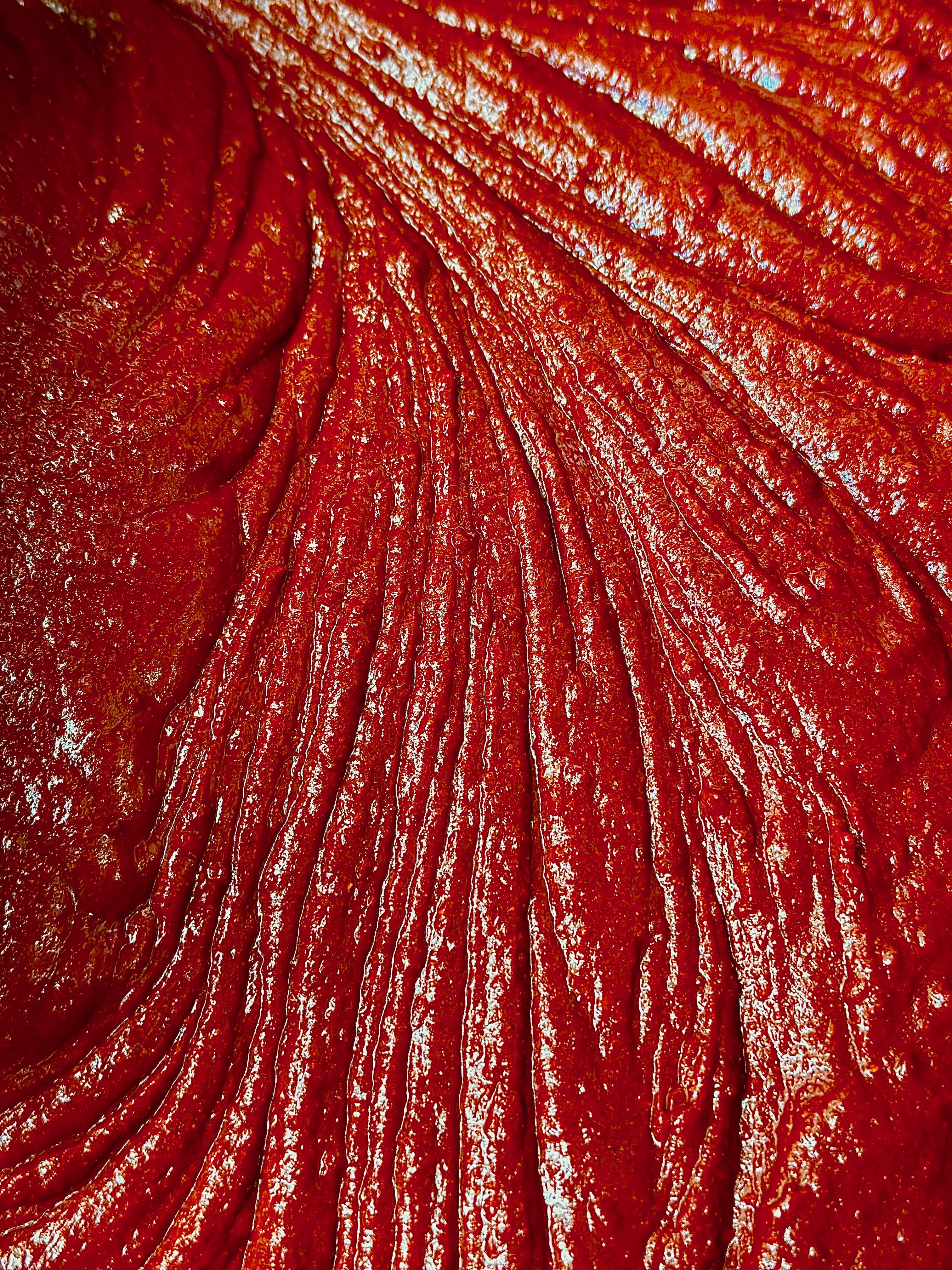 A close look at the rich red chile paste texture